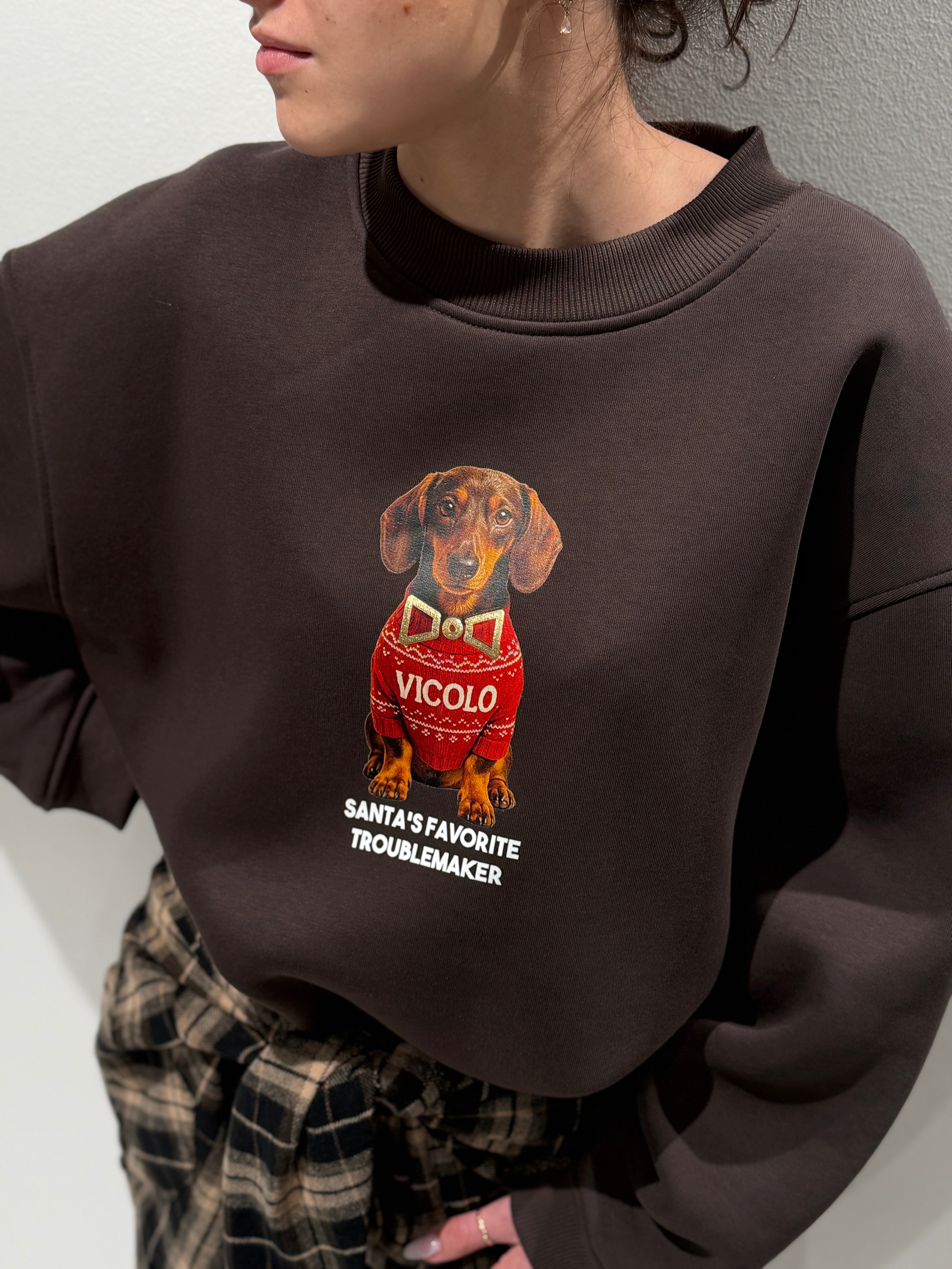 Felpa stampa Cagnolini