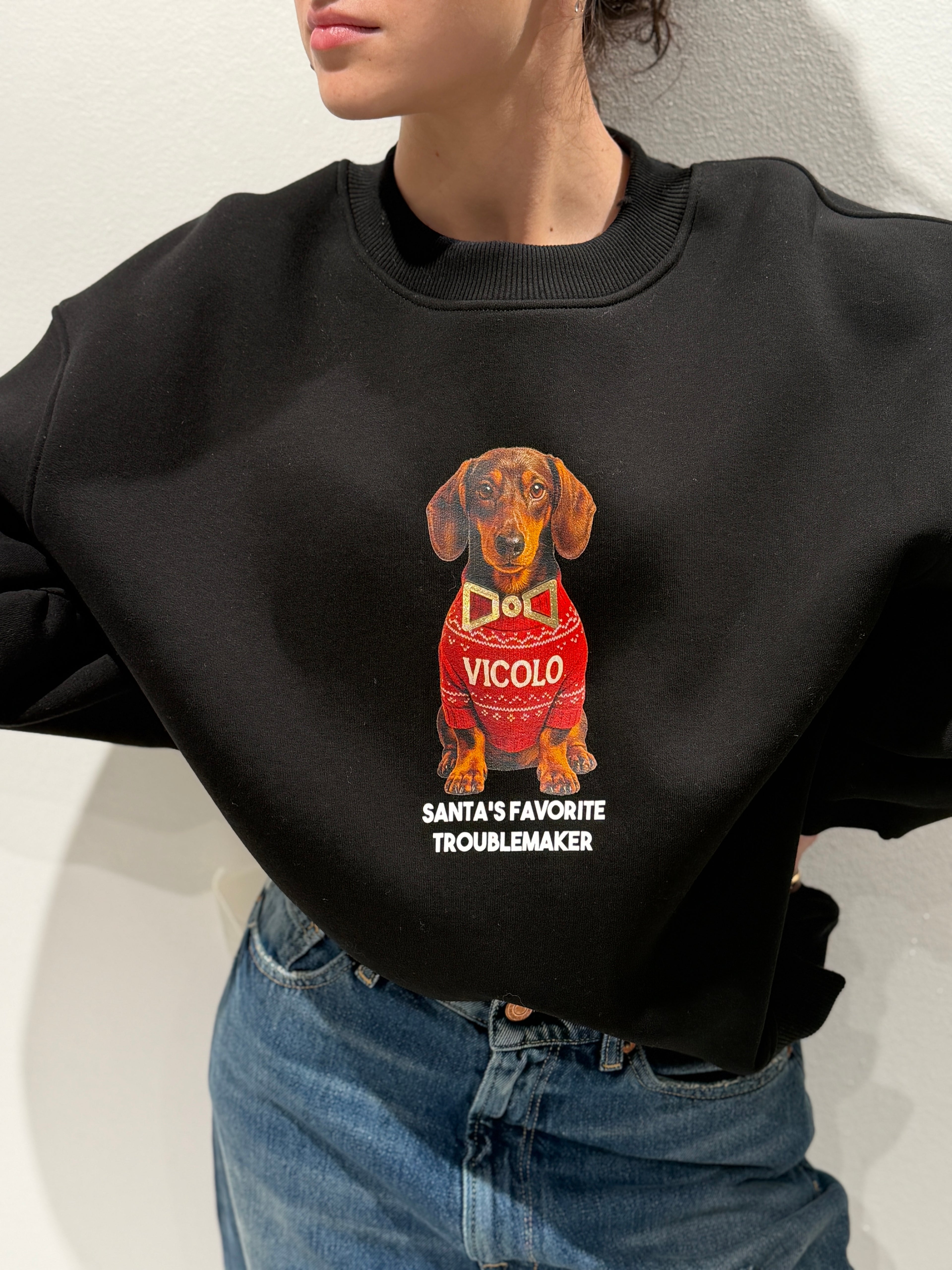 Felpa stampa Cagnolini