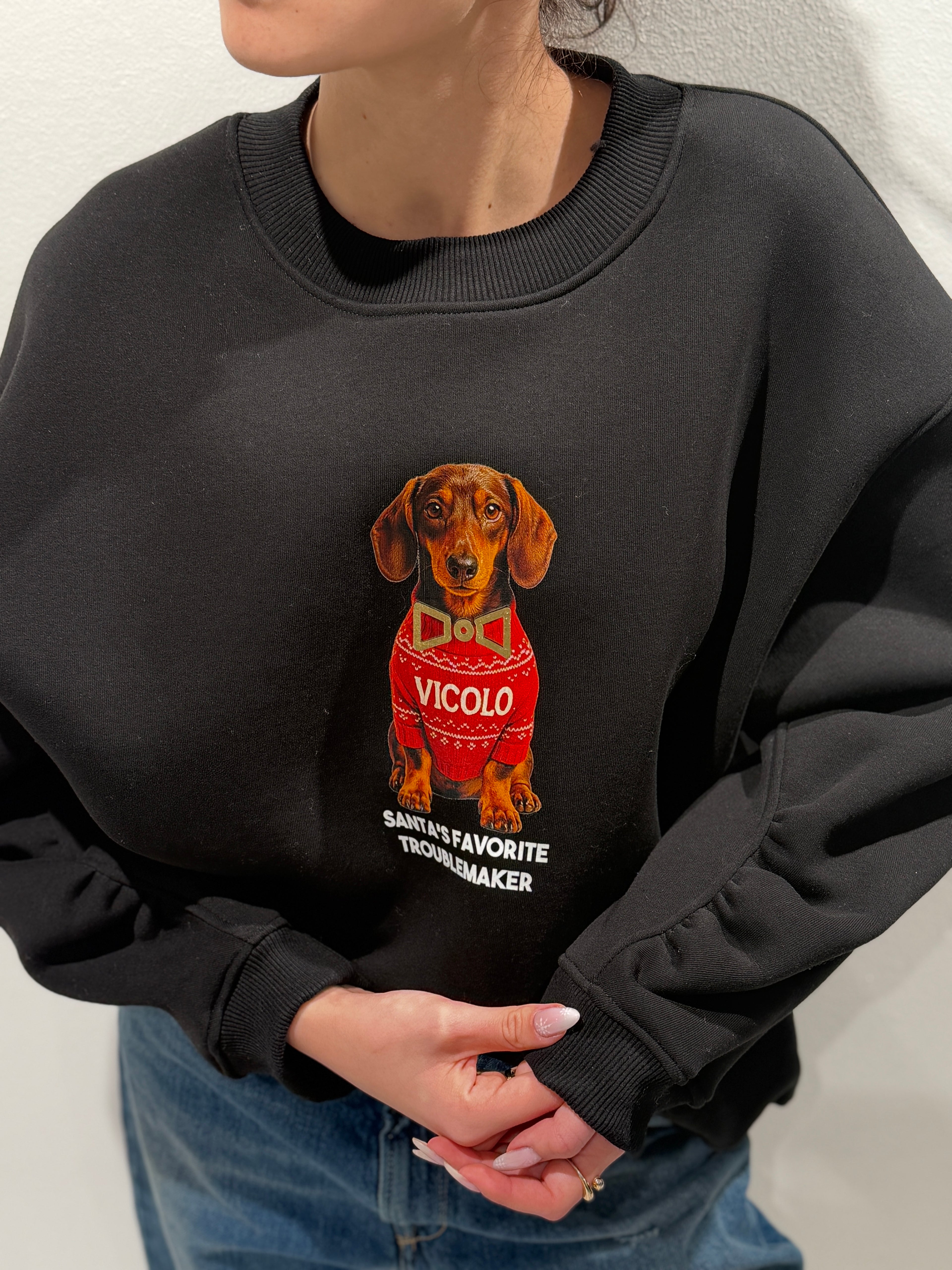 Felpa stampa Cagnolini