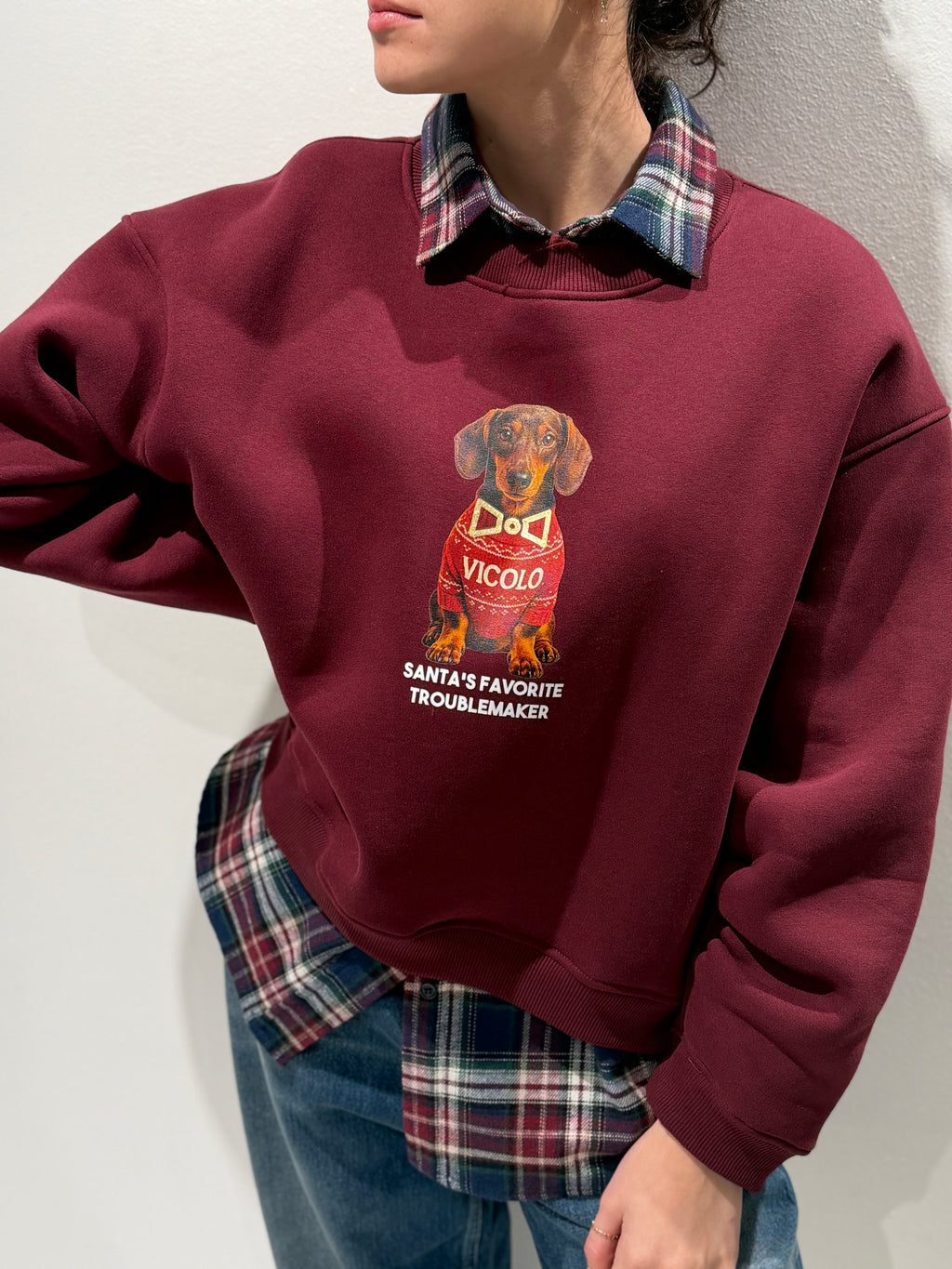 Felpa stampa Cagnolini