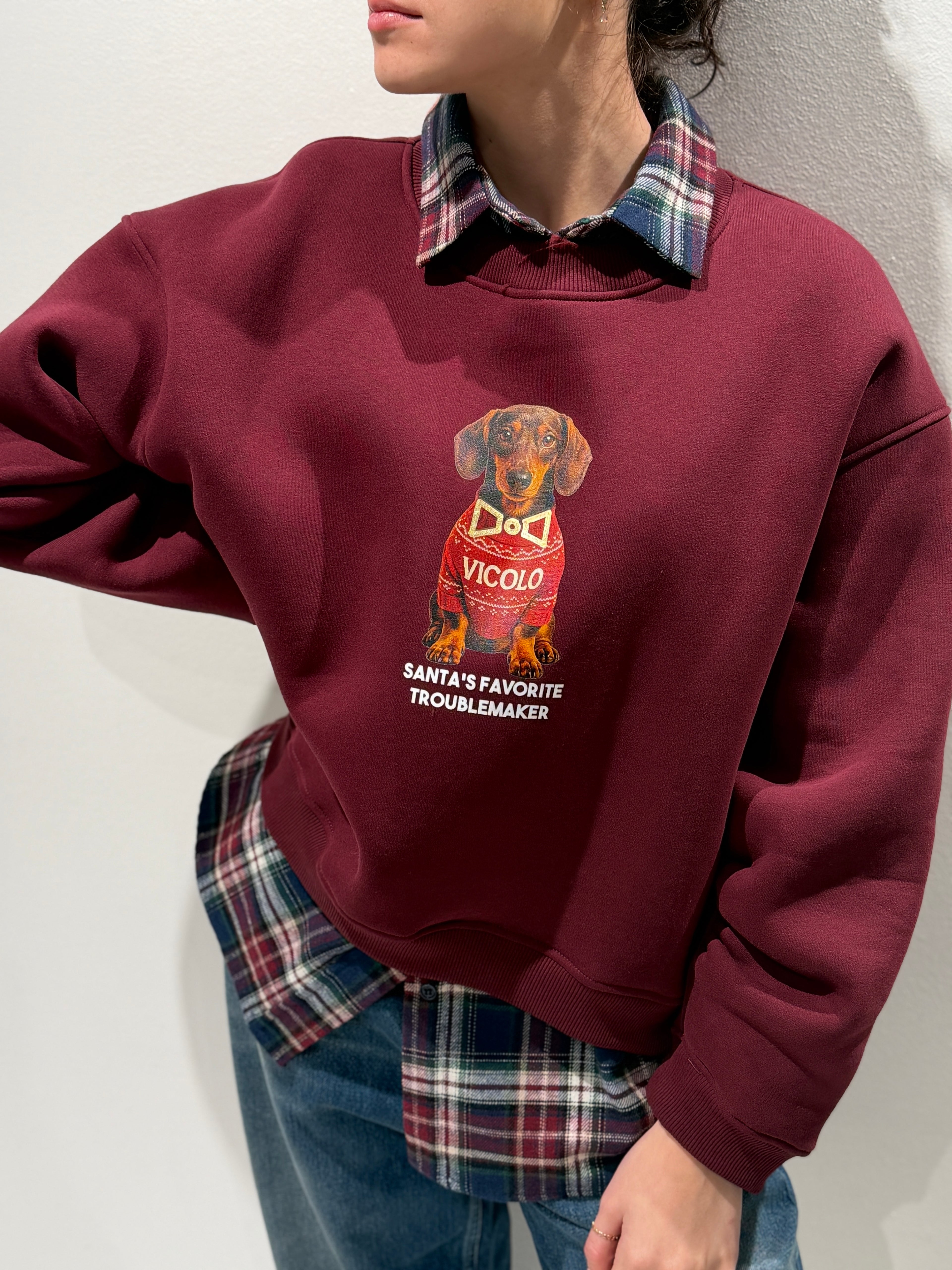 Felpa stampa Cagnolini