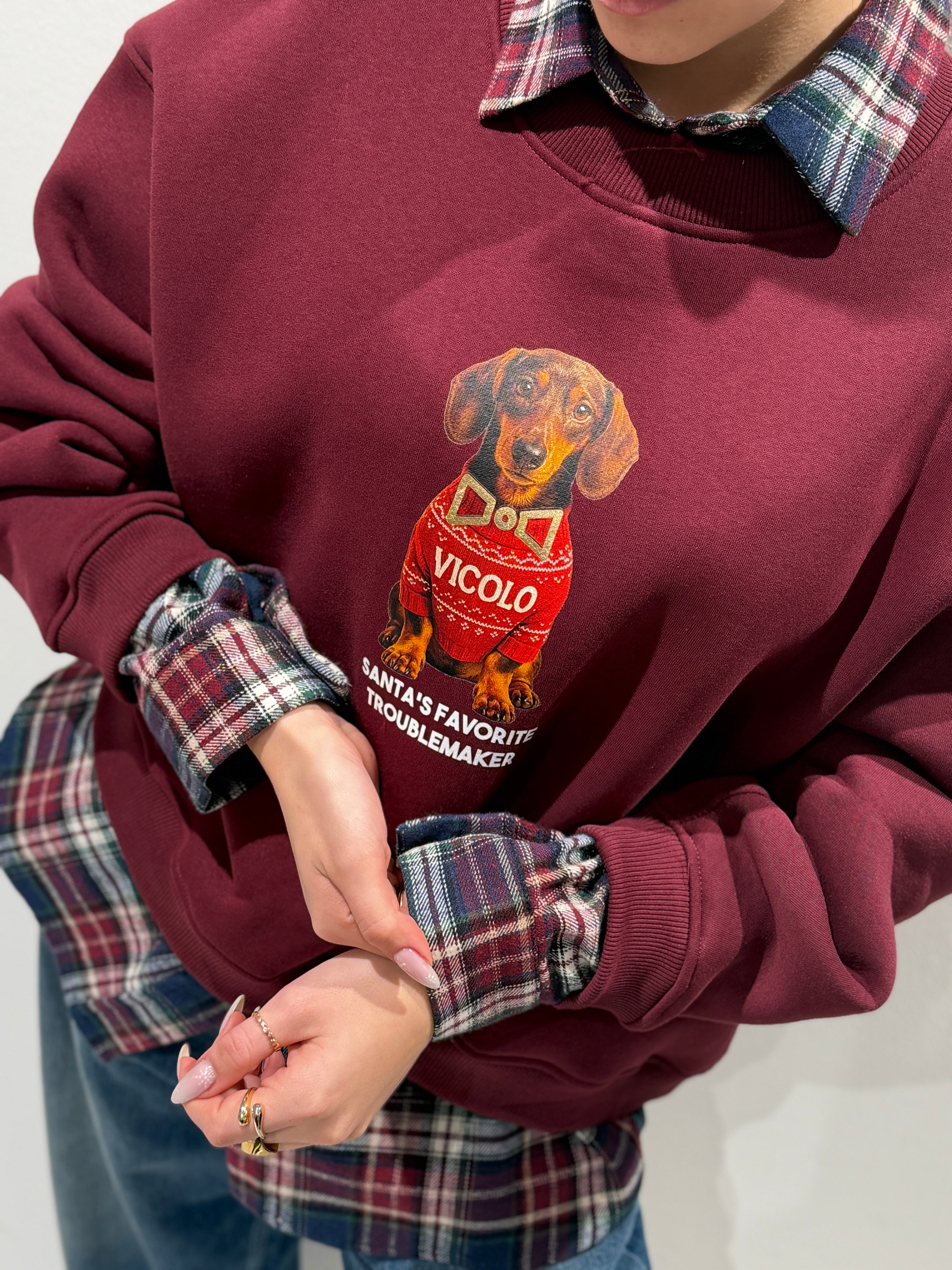 Felpa stampa Cagnolini