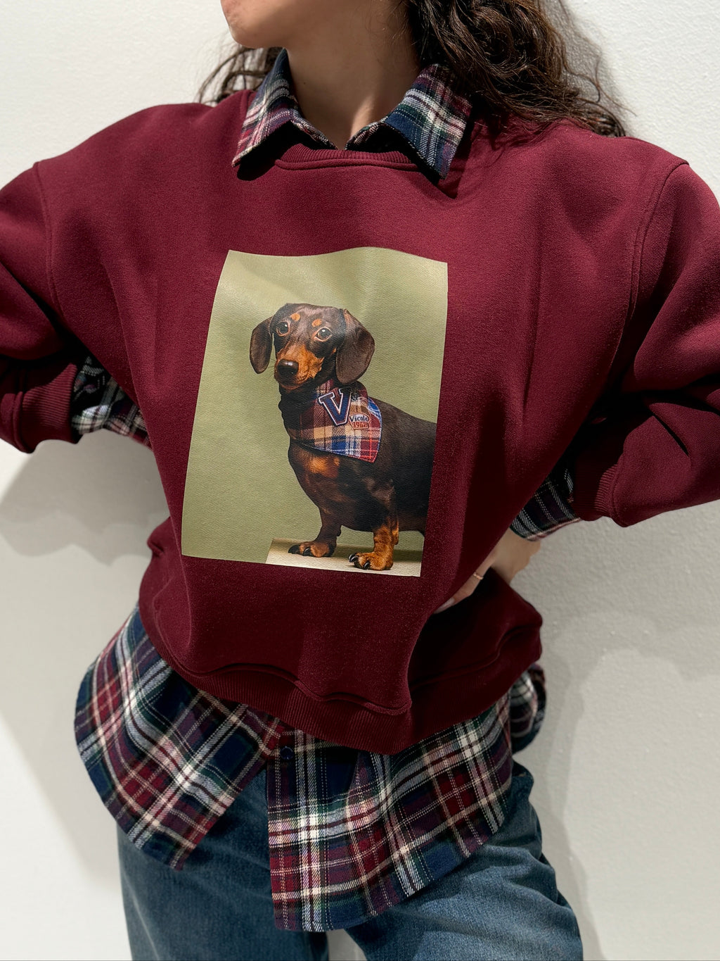 Felpa Stampa Bassotto