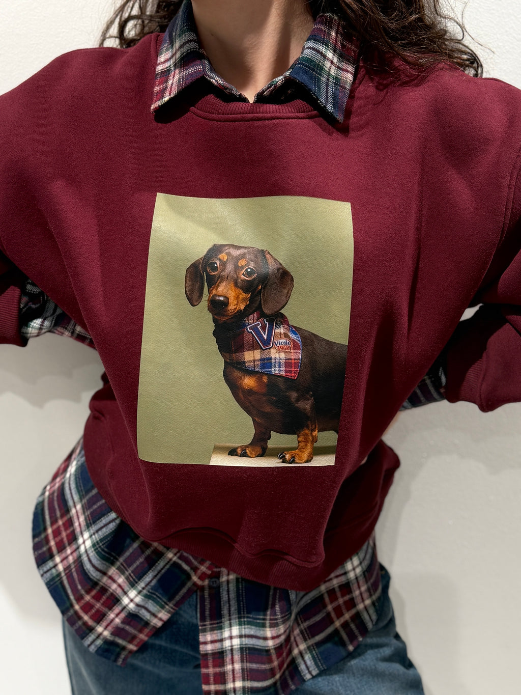 Felpa Stampa Bassotto